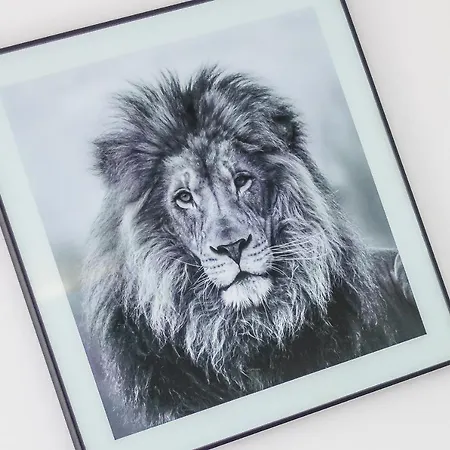 Iberlagos - Casa Luna Lagos